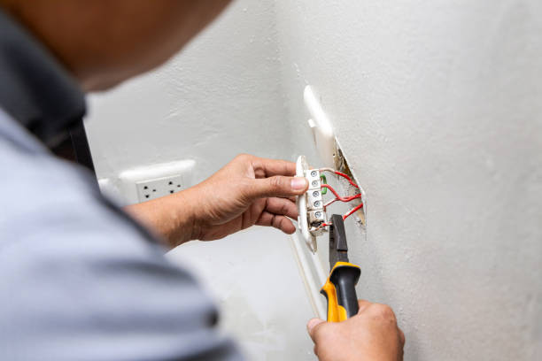 Best Ceiling Fan Installation Electrician  in Pierce, CO